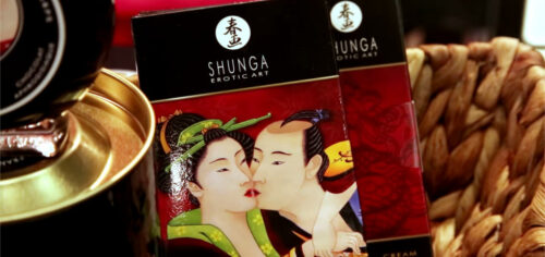 erotic shunga